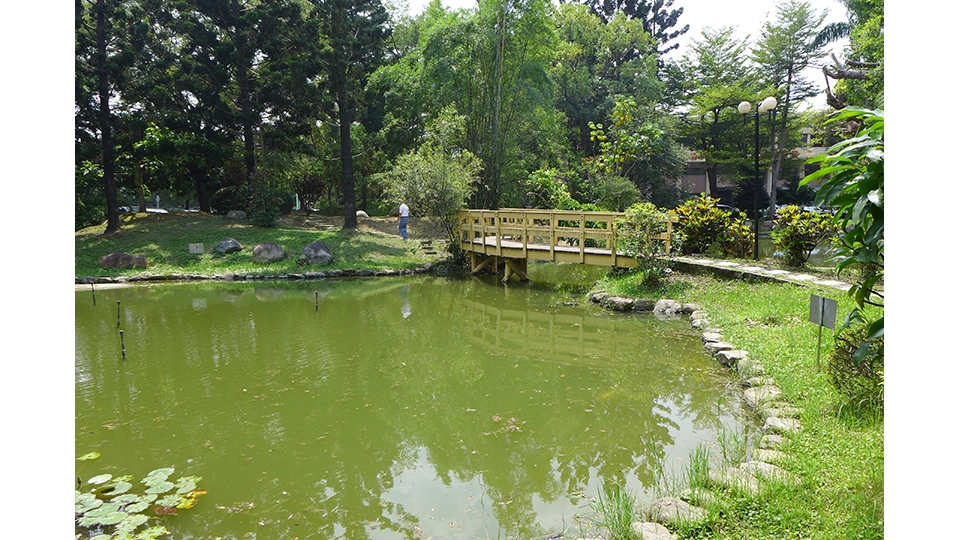 森林公園內有一座魚池，民國70年 興建即導入生態池概念，沿岸土壤邊坡增加更多土粒孔隙空間，利於動植物生長。